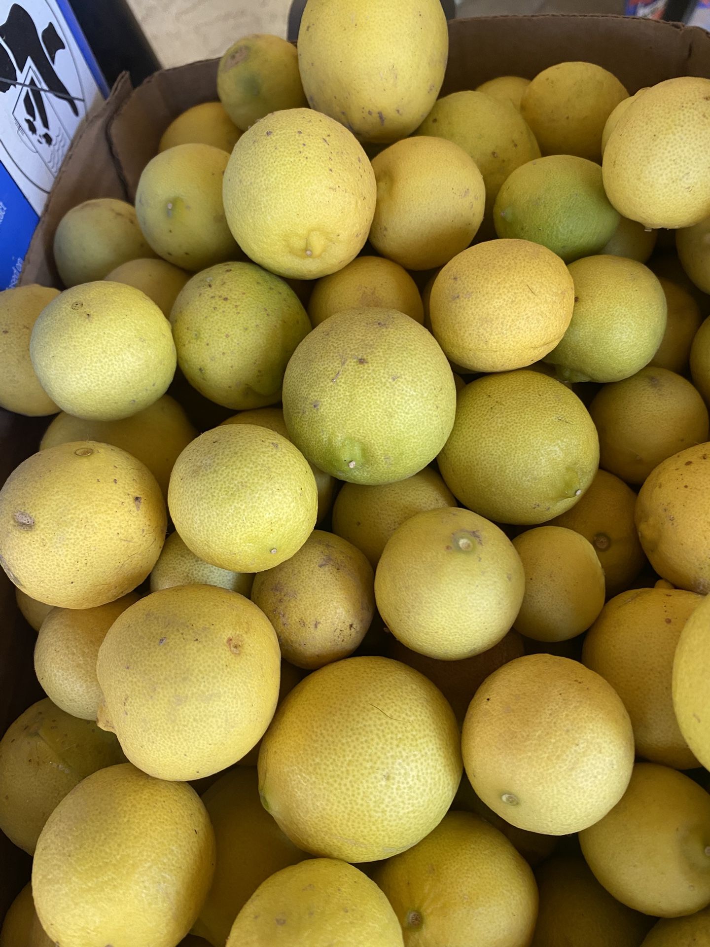 6 Libra de Limones Por 10.00