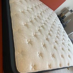 Helix Luxe Twilight Queen Mattress Bed 