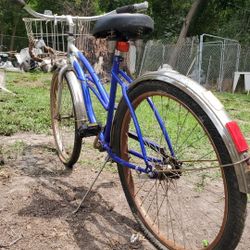 Classic Coaster Cruiser With Basket 