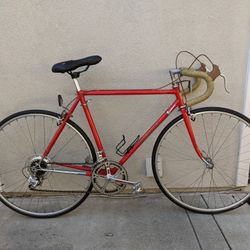 Vintage Road Bike Nishiki Comp II 54cm