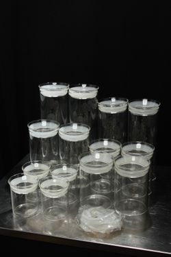 Zens Glass Food Containers