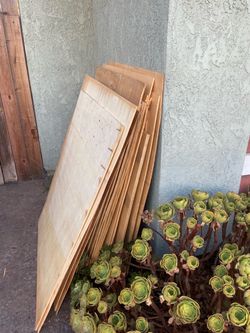 Wood sheets