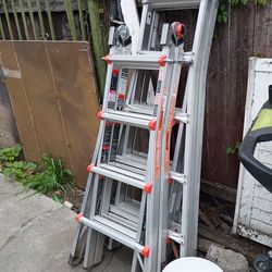 Little giant ladder