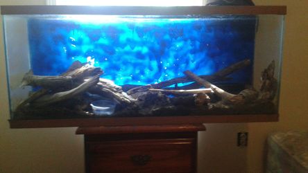 Fish tank nothing wrong with it 40 Serious Inquires Only in i dont no what size bigger than what it looks on pic