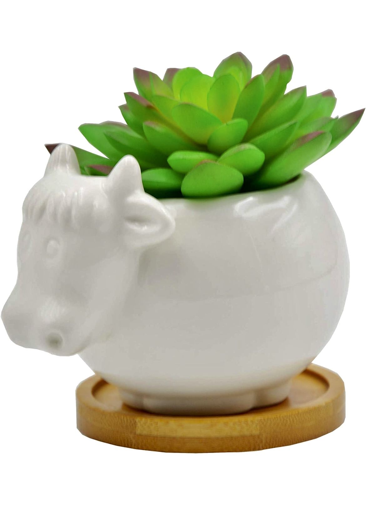 Cow Flower Pot