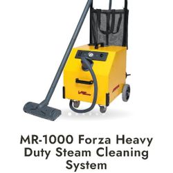 Commercial Steam cleaner 