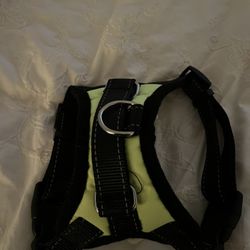 Small Dog Harness New 
