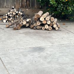 Tree branches for free