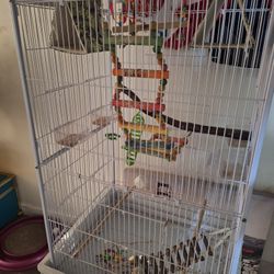 Big Bird Cage