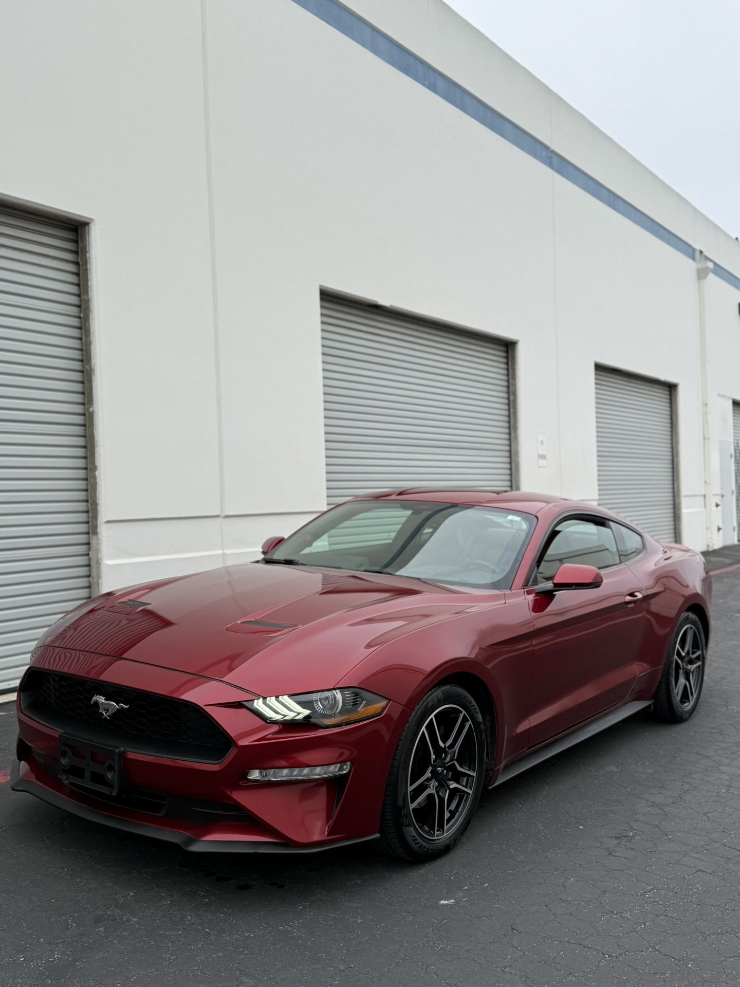 2019 Ford Mustang