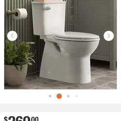 Modern Toilet - Elongated 