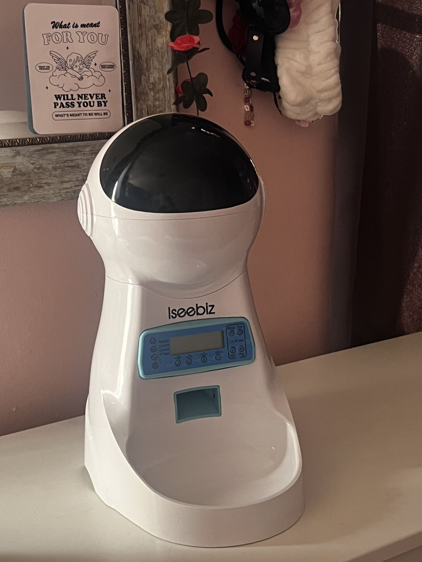 Automatic Pet Feeder 