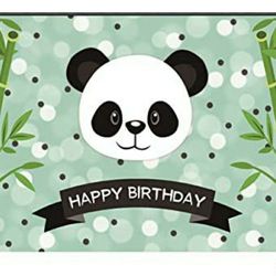 Panda Birthday Backdrop & Cake Topper