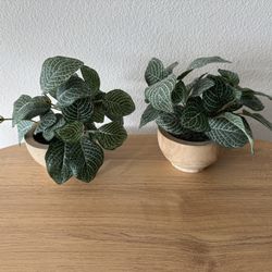 2 Table Artificial Plants