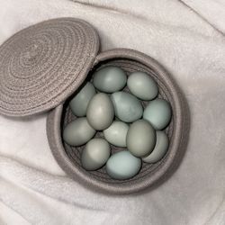 Organic Eggs 
