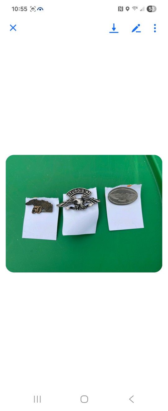Sturgis Pins