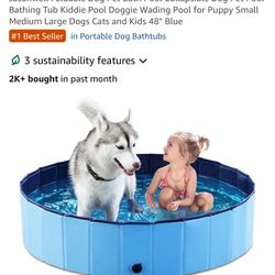 Dog Pool