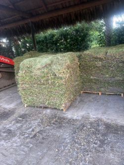 FRESH SOD DAILY