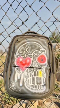 Air brush custom backpack