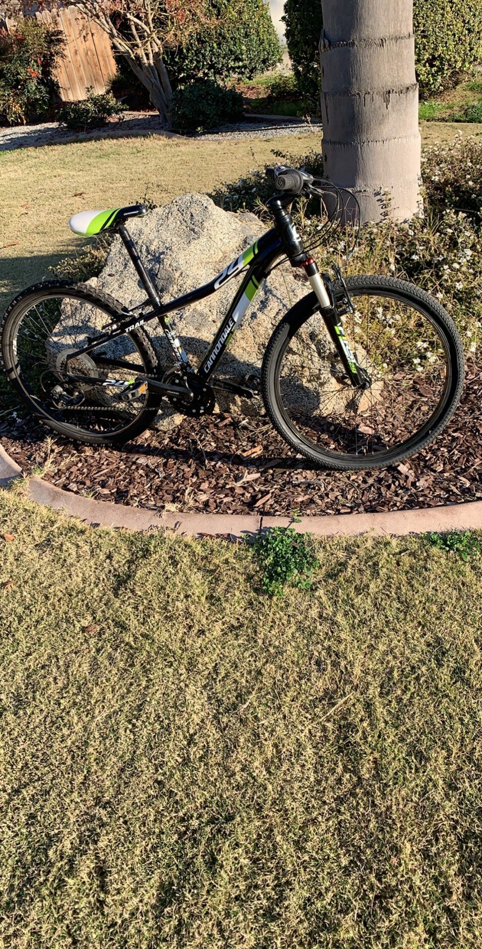 Cannondale Mountain Bike 24”
