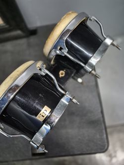 L.P. Bongos Black