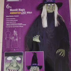 Halloween Witch Decoration Brand New