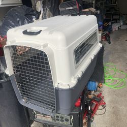 Airline Approved Dog Kennel, X-large 