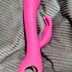 9 Function Rabbit Toys