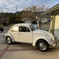67 VW beetle 