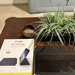 iPad Pro 11 Inch Cellular Unlocked 