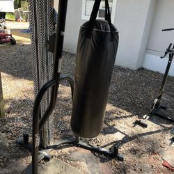 Everlast Punching Bag With Stand