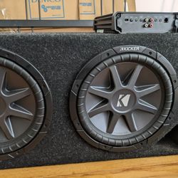 Two 12 Inch Subs, Enclosure, and Amplifier
