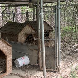 Doghouse & gate fence