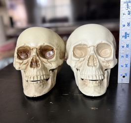Halloween Skulls