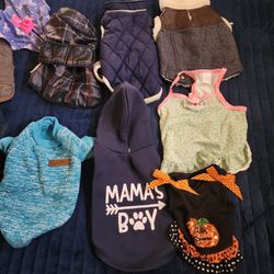 Small Pet Clothes