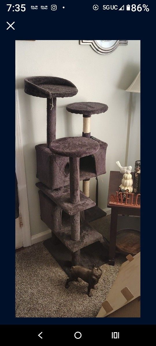 6 Ft Cat Tower