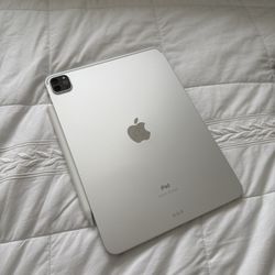 iPad Pro (11-inch) (2nd Generation)