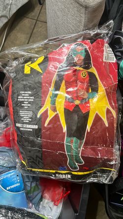 Adult Robin