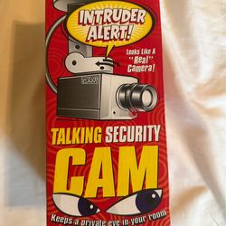 Intruder Alert Talking Security Fake Cam