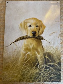 11”Wx16”L Yellow Lab puppy w/feather picture on tin