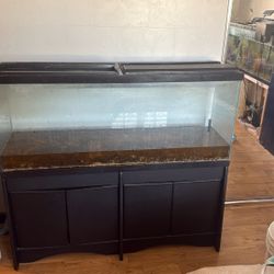 60g Fish Tank With Stand