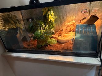 Glass Reptile Enclosure
