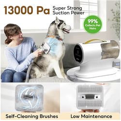 Dog Cat Vacuum for Shedding Grooming Hair, 5 Pet Grooming Tools, Quiet, PV3