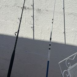 fishig rods with reels