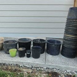 more than 40 Flower pots, Hydroponic, Nursery Planters Manson Planter, Grow buckets, different sizes