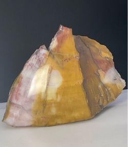 Petrified wood