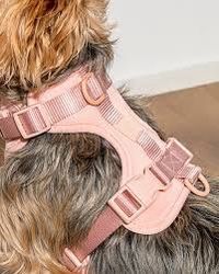 Small Breed Dog Harness