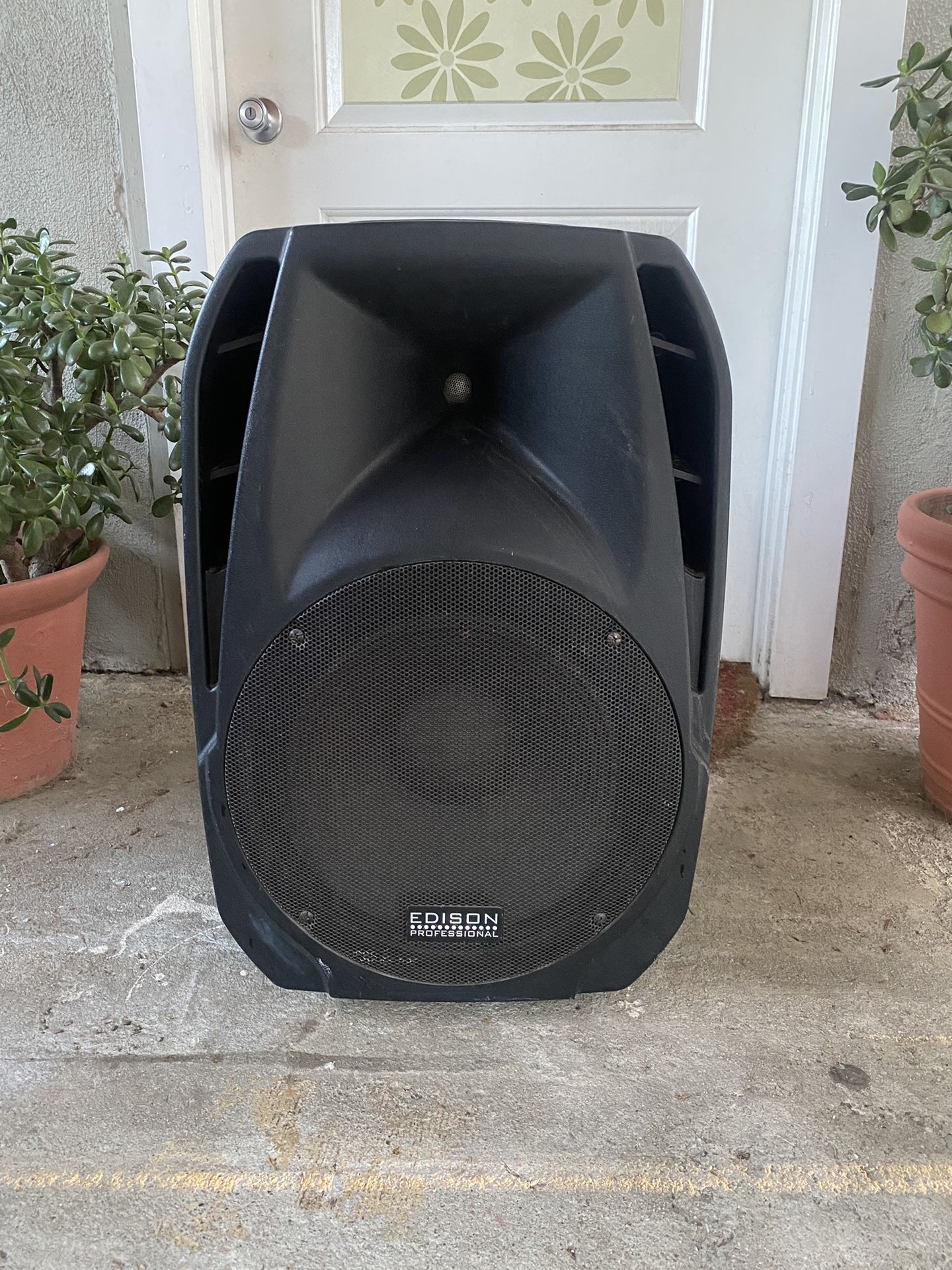 Edison Professional Speaker