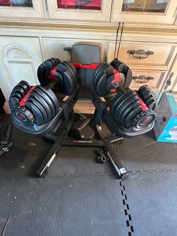 Bowflex SelectTech 552 Dumbbells