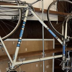 Campanale  Racing Bike 